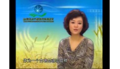 神秘的阿拉善双峰骆驼